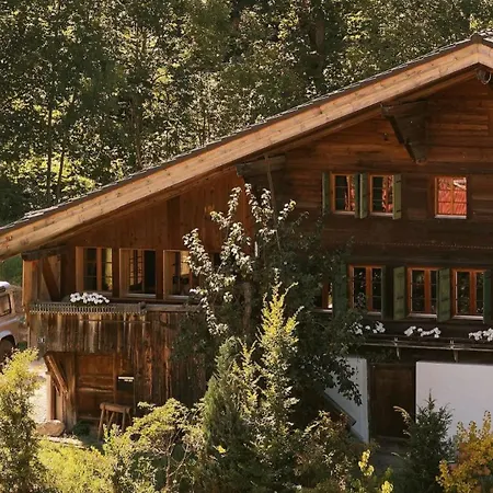 Gstaad Mountain With Outdoor فيلة