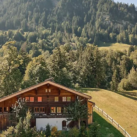 Gstaad Mountain With Outdoor *