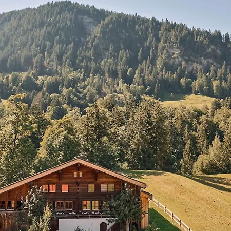 Gstaad Mountain With Outdoor *