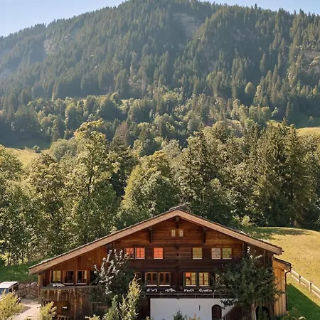 Gstaad Mountain With Outdoor * Gsteig