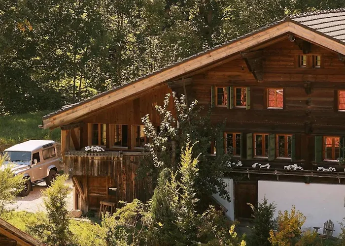 Gstaad Mountain With Outdoor Willa