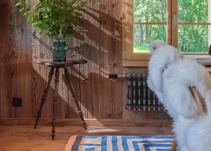 Gstaad Mountain With Outdoor Willa