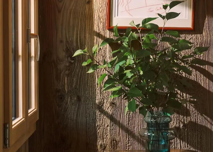 Willa Gstaad Mountain With Outdoor