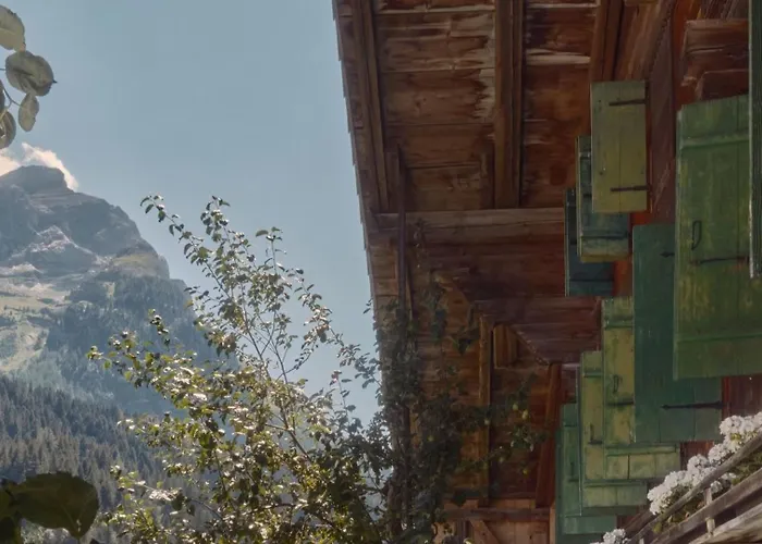 Willa Gstaad Mountain With Outdoor *