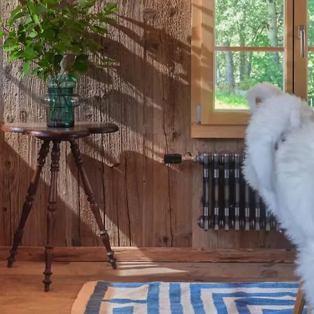 Gstaad Mountain With Outdoor 别墅