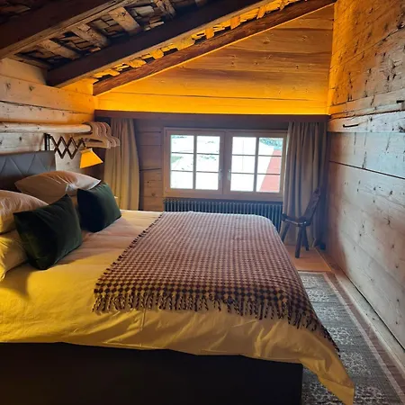 别墅 Gstaad Mountain With Outdoor Gsteig