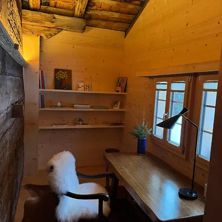 别墅 Gstaad Mountain With Outdoor