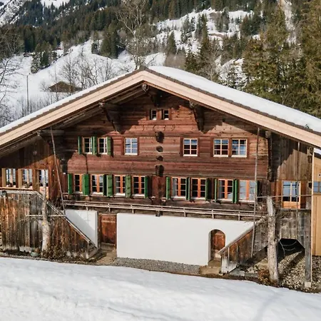 别墅 Gstaad Mountain With Outdoor