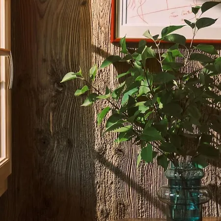 别墅 Gstaad Mountain With Outdoor